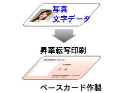 ベースカード