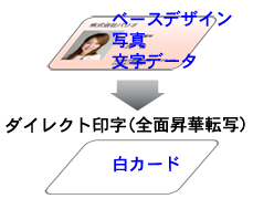 白カード1
