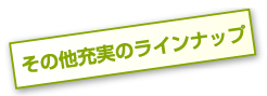 その他充実のラインナップ